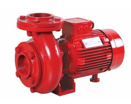   <h3 >Fire Fighting Monobloc Pump</h3>